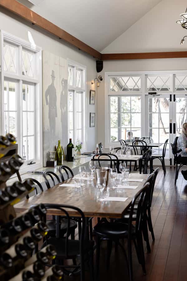 Hunter Valley: Wine Tour with 2-Course Lunch, Choc & Cheese - Binnorie Dairy Cheese Tasting: The One You’ll Remember