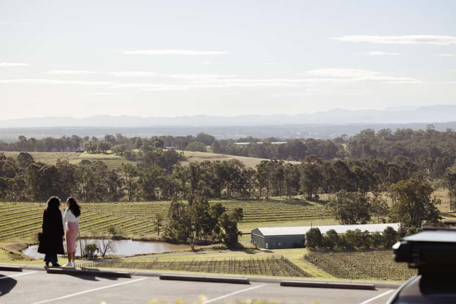 Hunter Valley: Wine Tour with 2-Course Lunch, Choc & Cheese - How the Whole Day Fits Together (and Who It Suits)