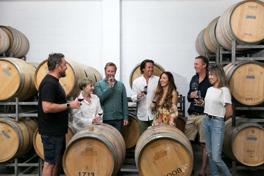 Hunter Valley: Wine Tour with 2-Course Lunch, Choc & Cheese - Audrey Wilkinson Winery: A Historic Vineyard with Big Views