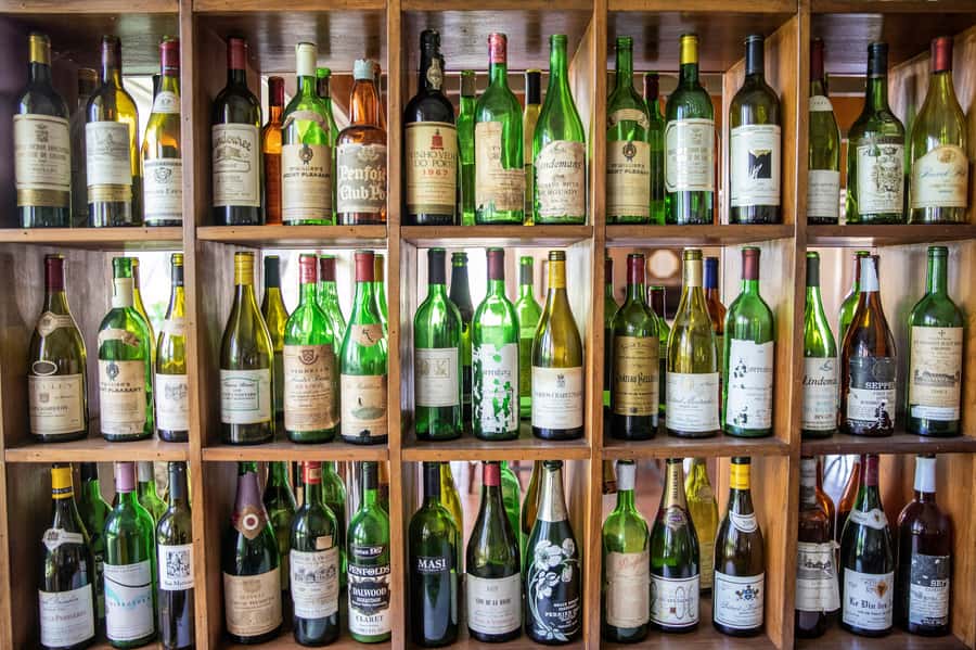 Hunter Valley: Wine Tour with 3 Tastings and Garden Lunch - Cypress Lakes lunch and Hunter Valley Village browsing