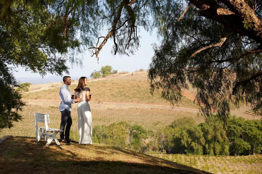 Hunter Valley: Wine Tour with 3 Tastings and Garden Lunch - Hunter Valley Cheese Factory: the tasting reset that works