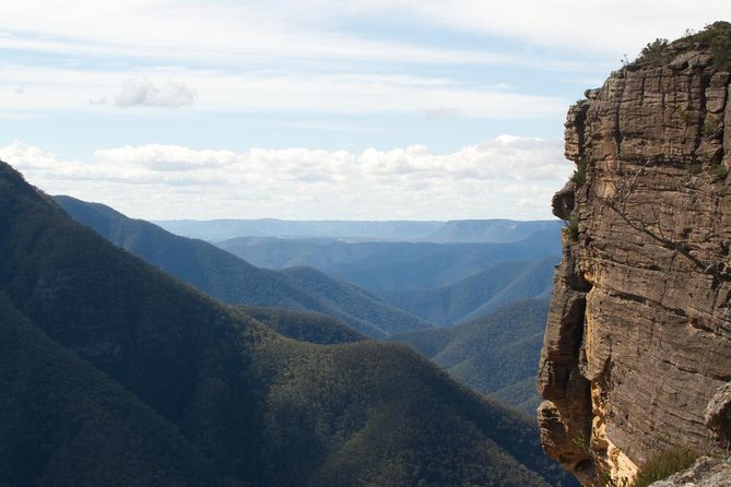 Inside the Greater Blue Mountains World Heritage - A Private Wildlife Safari Overnight - Key highlights you’ll actually feel on the trip