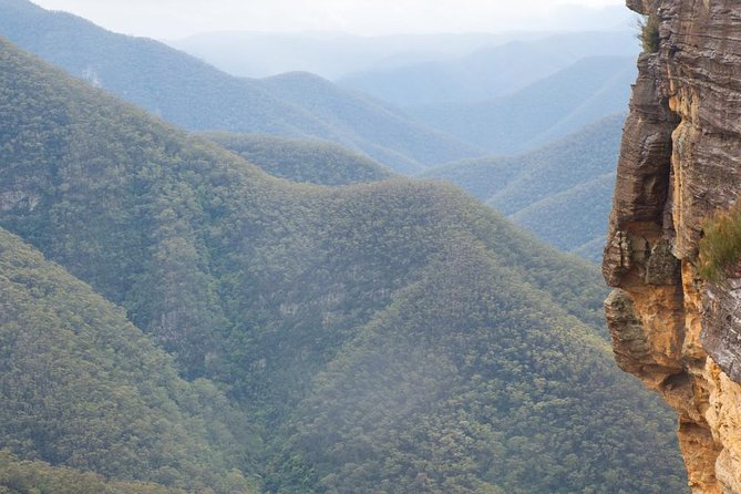 Inside the Greater Blue Mountains World Heritage - A Private Wildlife Safari Overnight - The guide factor: Jelle’s style and why it changes the trip