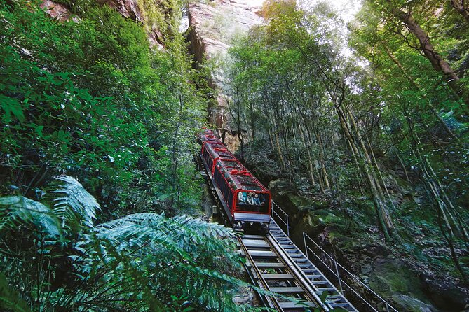 Intimate Blue Mountains Wild Kangaroos & Sunset for Nature Lovers - Wentworth Falls: the big waterfall moment and the chance to earn the viewpoint