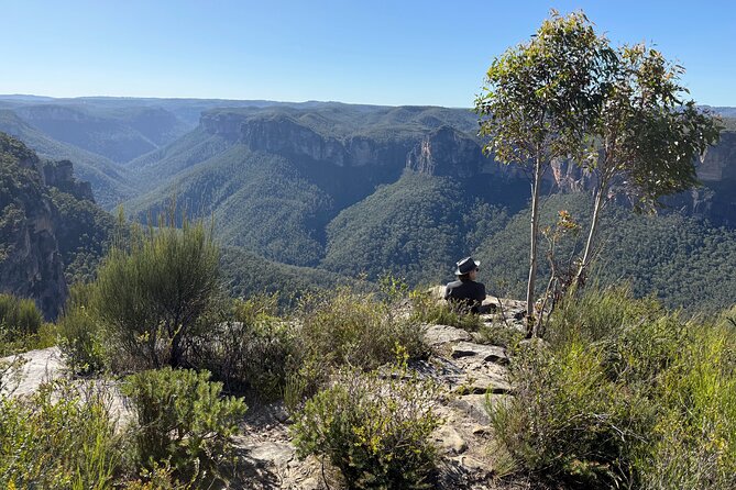 Intimate Blue Mountains Wild Kangaroos & Sunset for Nature Lovers - Govetts Leap: big canyon drama and waterfall drops