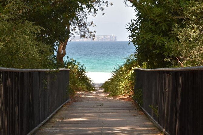 Jervis Bay Tour with Dolphins, Kangaroos & World's Whitest Beach - Jervis Bay Day Trip From Sydney: What You’re Actually Paying For