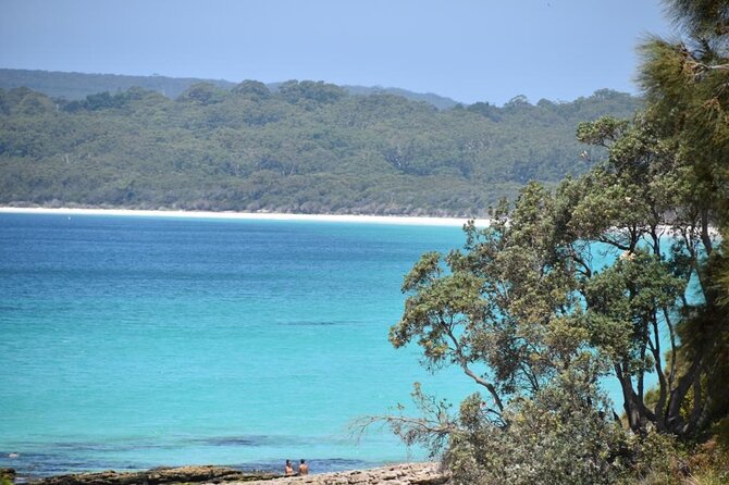 Jervis Bay Tour with Dolphins, Kangaroos & World's Whitest Beach - Huskisson Free Time: The Beach-Town Pause You’ll Actually Appreciate