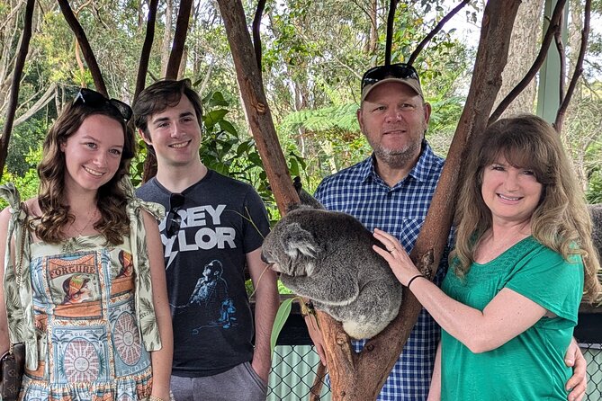 Koala & Kangaroos Experience, Waterfalls and Scenic Train Journey - Key highlights you’ll actually care about