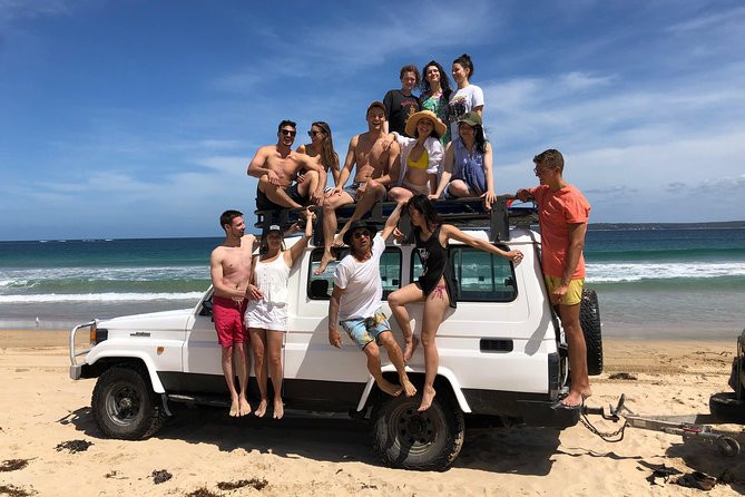 Learn to Surf Day Trip - Sydney - Wildlife and scenery: what Royal National Park adds to the day