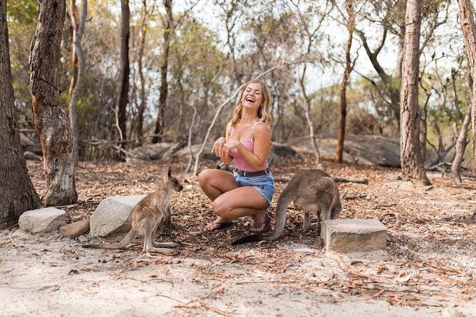 Luxury Hunter Valley Wildlife & Wine Tasting Tour from Sydney - Pokolbin Estate and Wombat Crossing: structured boutique tastings without the guesswork