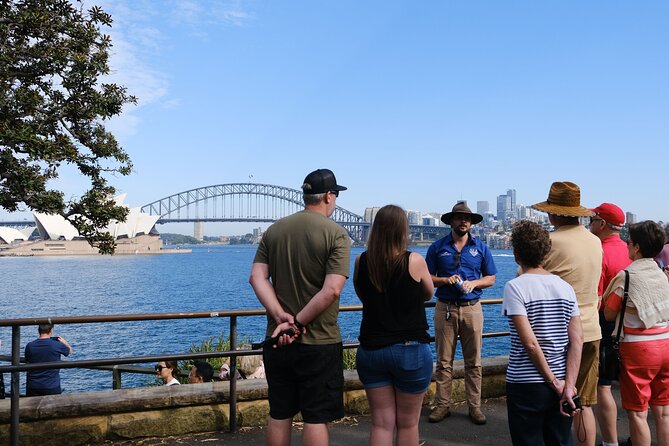 Morning or Afternoon Half-Day Sydney City Sightseeing Tour - Why this half-day Sydney loop works so well