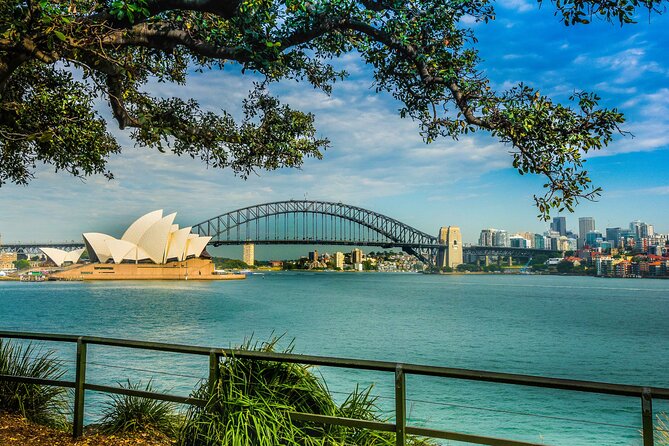 Morning or Afternoon Half-Day Sydney City Sightseeing Tour - Rose Bay to Watsons Bay and The Gap: harbour-edge suburb glamour