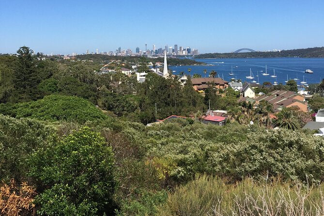 Morning or Afternoon Half-Day Sydney City Sightseeing Tour - Centennial Park, Paddington, and the feeling of real neighbourhood life