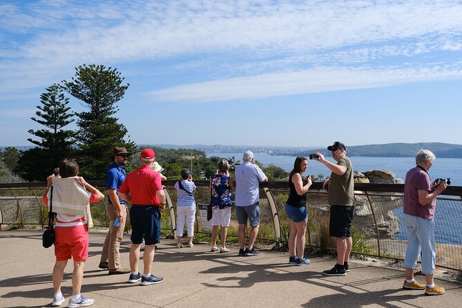 Morning or Afternoon Half-Day Sydney City Sightseeing Tour - Price and what $109.74 covers in real value