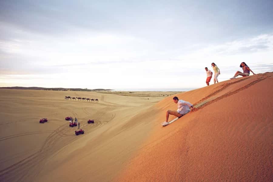 Port Stephens: Dolphin Cruise, Lunch, Koalas & Sandboarding - A long coach day that actually feels efficient