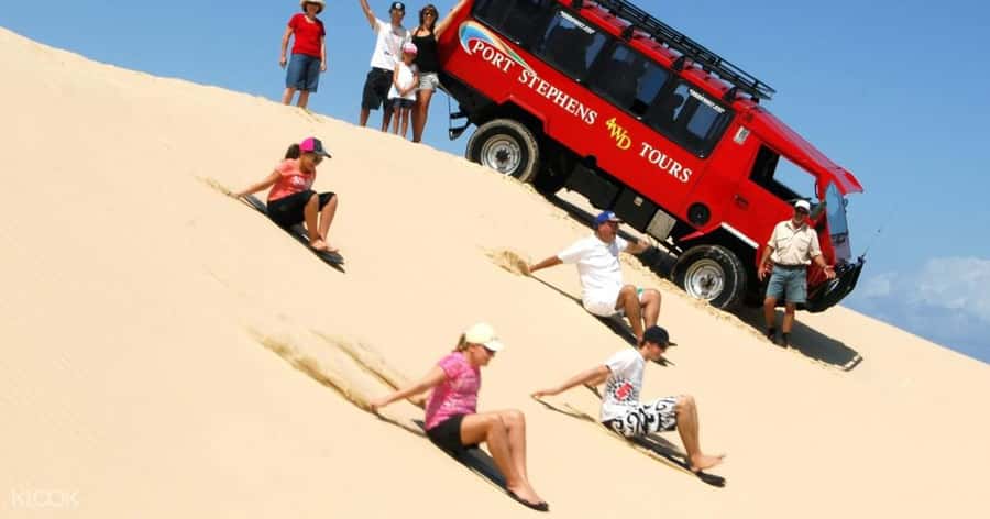 Port Stephens: Dolphin Cruise, Lunch, Koalas & Sandboarding - Who this Port Stephens trip fits best
