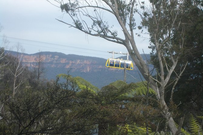 PRIVATE Blue Mountains day tour with local guide. - Private pickup and a full-day rhythm that actually works
