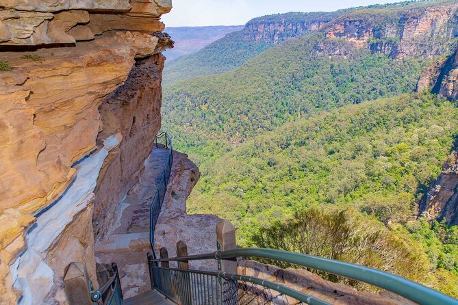 Private Blue Mountains Escape The Crowds Mercedes Tour - Why a private Blue Mountains escape beats the bus day