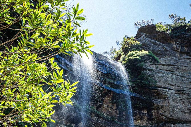 Private Blue Mountains Escape The Crowds Mercedes Tour - Scenic World: the steep railway and forest options if you want extra action