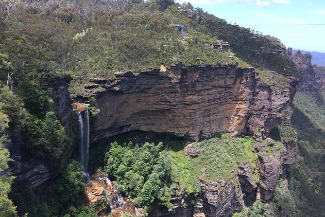 PRIVATE Blue Mountains tour & Koalas, Kangaroos, Cruise plus more - Key highlights you’ll actually use