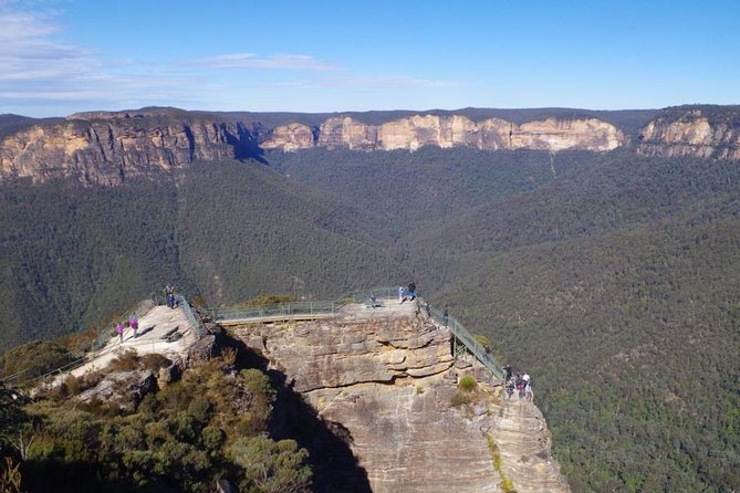 PRIVATE Blue Mountains tour & Koalas, Kangaroos, Cruise plus more - A day that starts in the mountains and ends on the harbour