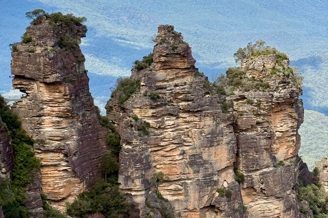 PRIVATE Blue Mountains tour & Koalas, Kangaroos, Cruise plus more - Aboriginal culture moment: boomerang throw and local context