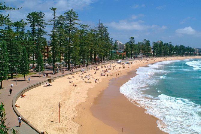 Private Sydney Tour Including Sydney Opera House, Bondi and Manly - McMahons Point: a different Opera House angle