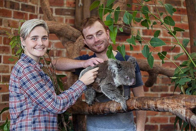 Private Tour: Blue Mountains Day Trip from Sydney - From Sydney at 7:30 to the Blue Mountains fast