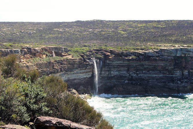 Royal National Park Private Tour - Horderns Beach and Wedding Cake Rock: the coastal track that sets the tone