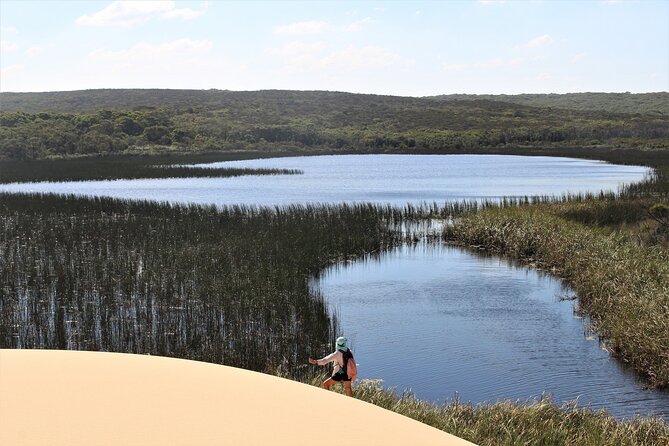 Royal National Park Private Tour - Marley Beach and Wattamolla: short stops that feel like mini-adventures