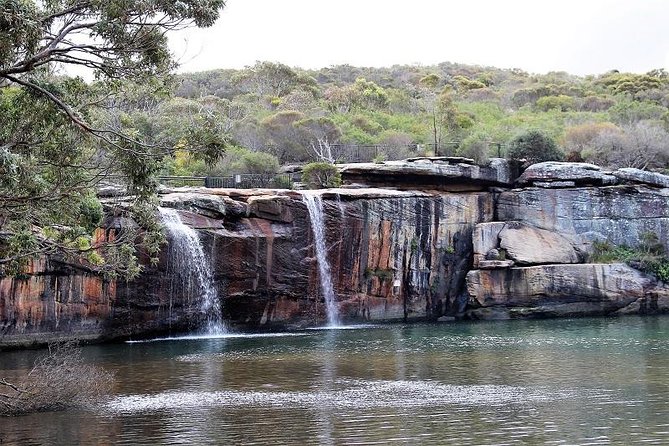 Royal National Park Private Tour - How flexible is it, really? Enough to match your hiking mood