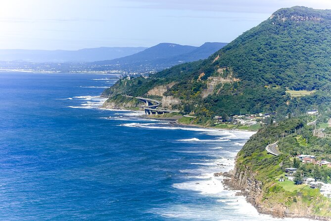 Sea Cliff Bridge, Kiama Blowhole, Beaches & Wildlife Small Group - Key things I’d circle before you book