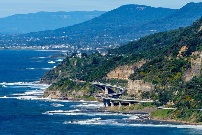 Sea Cliff Bridge, Kiama Blowhole, Beaches & Wildlife Small Group - Why the Illawarra Coast feels like a win from Sydney