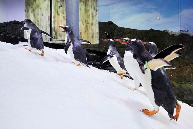 SEA LIFE Sydney Aquarium Entrance Ticket - Timed Entry at Darling Harbour: What Your Slot Really Means