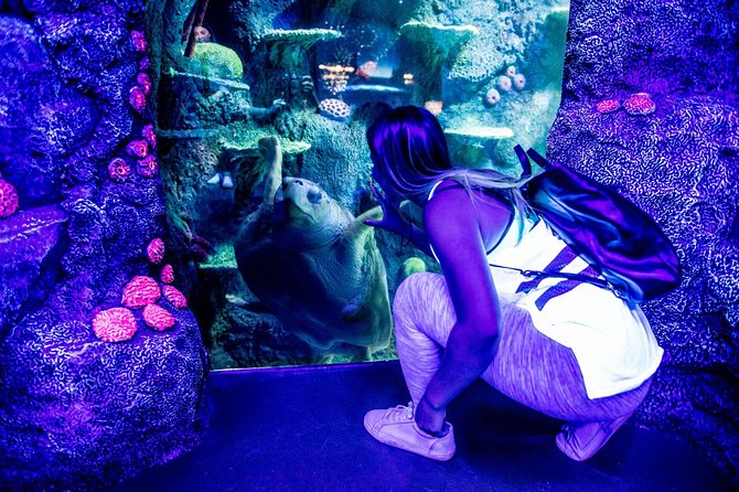 SEA LIFE Sydney Aquarium Entrance Ticket - Great Barrier Reef Day and Night: The Tank That Functions Like a Show