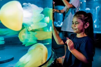 SEA LIFE Sydney Aquarium Entrance Ticket - Penguin Expedition: The Cold-Setup That Makes Kids Lean In
