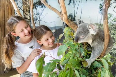 Small Group Blue Mountains, Wildlife & Scenic World Day Tour - Small-group comfort on the luxury coach (and why it matters)