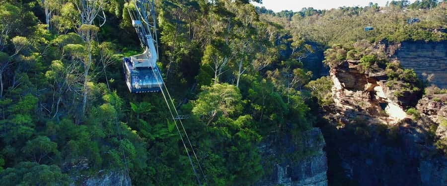 Small Group Blue Mountains, Wildlife & Scenic World Day Tour - Timing and crowds: how this day stays enjoyable anyway