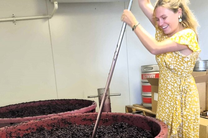 Small Group Hunter Valley Wine Tour + Lunch, Gin & Choc ex Sydney - Hunter Valley From Sydney: A Day-Trip That Runs Long (But Well)