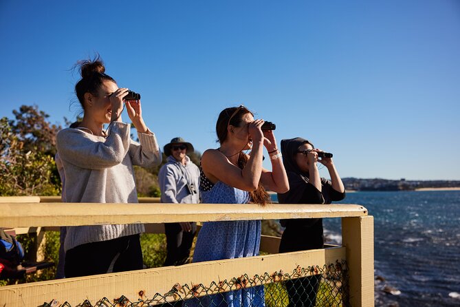 Small Group Manly Snorkel Tour and Nature Walk with Local Guide - The Small-Group Advantage: How Guides Change the Outcome