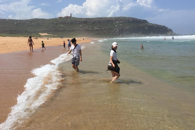 Small-Group Sydney's Northern Beaches & Ku-ring-gai Park Tour - Spit Bridge: The View Warm-Up That Sets the Tone