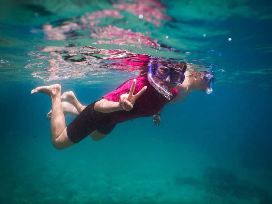 Snorkeling Tour: Discover Sydney’s impressive sea life - The guide matters more than the beach name