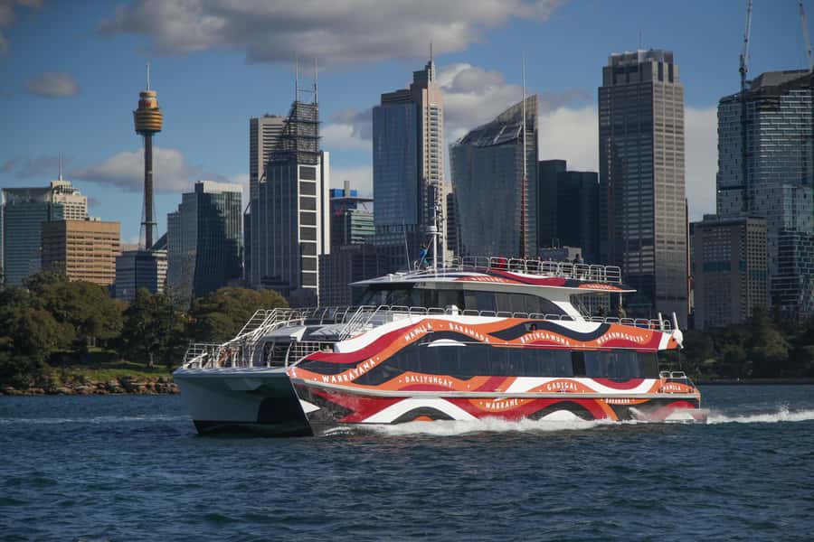 Sydney: 2-hour Express Whale Watching Cruise - How Whale Spotting Happens (and Why the Crew’s Method Matters)