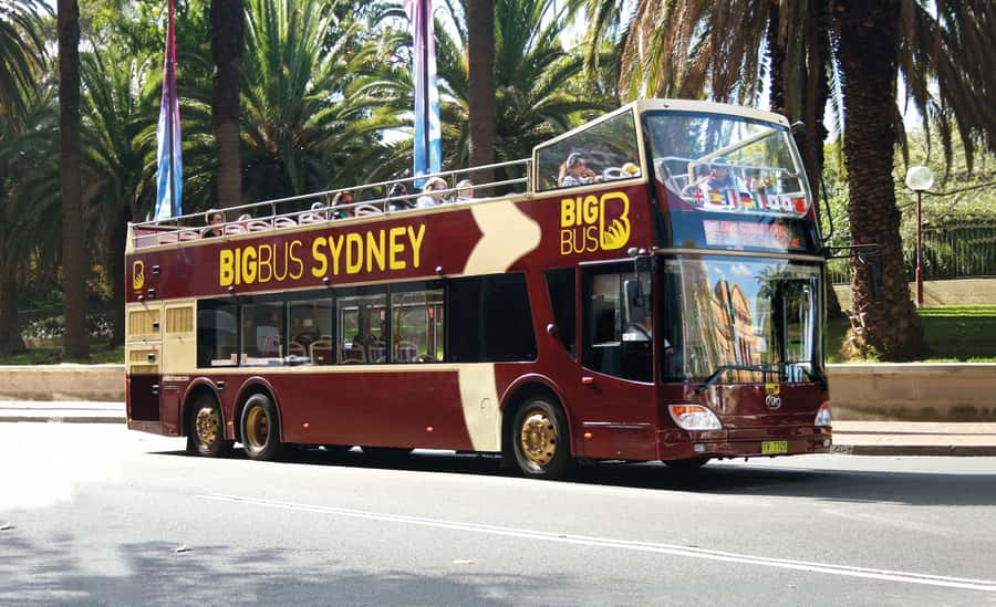Sydney: Big Bus Hop-On Hop-Off Tour with Optional Cruise - City Route (Red): Opera House, Harbour Bridge, and the harbour core
