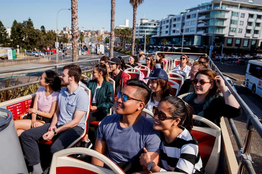Sydney: Big Bus Hop-On Hop-Off Tour with Optional Cruise - Panoramic night tour: non-stop views from 7:00pm or 7:30pm