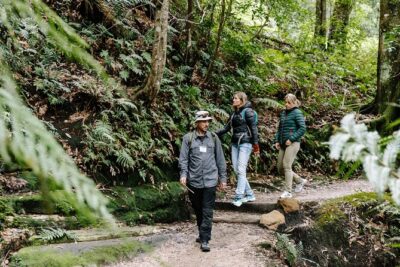 Sydney Blue Mountains Day Tour with Wildlife Park and Waterfalls - Featherdale Wildlife Park: up-close Aussie animals in a tight 90 minutes