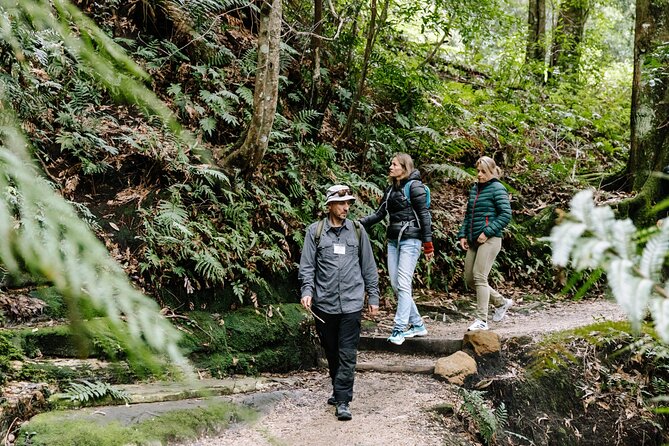 Sydney Blue Mountains Day Tour with Wildlife Park and Waterfalls - Featherdale Wildlife Park: up-close Aussie animals in a tight 90 minutes