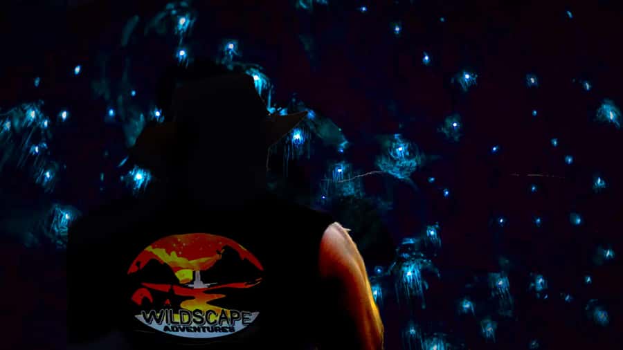 Sydney: Blue Mountains Glow Worms Wild Adventure by Night - A 5-hour night walk to a glow worm cave
