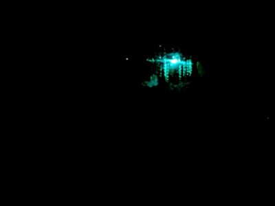Sydney: Blue Mountains Glow Worms Wild Adventure by Night - Hotel pickup in Sydney: convenient, but time matters