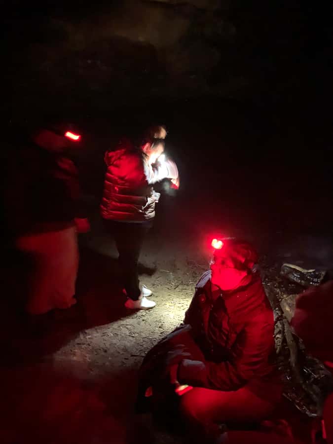 Sydney: Blue Mountains Glow Worms Wild Adventure by Night - Price and value: is $130 worth a night adventure?
